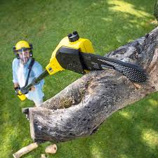 Best Lawn Maintenance Plans  in Youngwood, PA